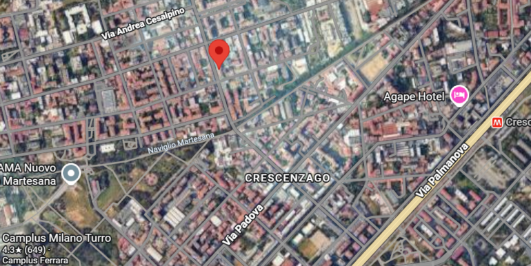 1 MAPS